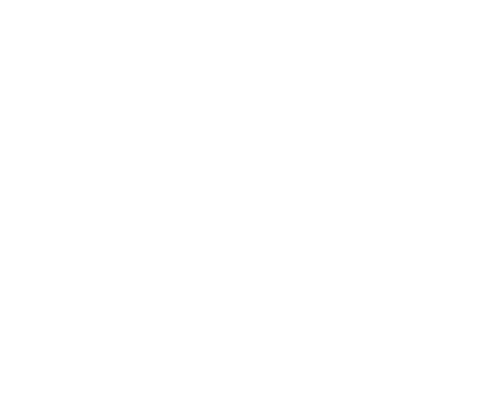 OnBoard Skate comp ai white